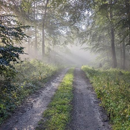Ferienwohnung Rumbeck Hessisch Oldendorf Buitenkant foto